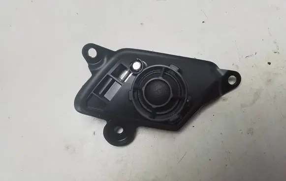 Front door high frequency speaker
