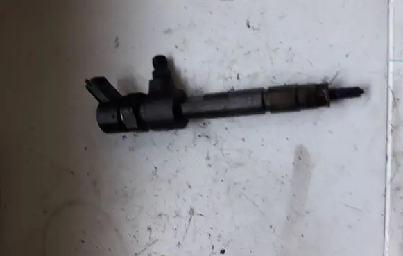 Opel Zafira B Fuel injector 0445110119