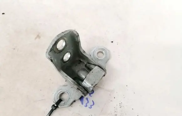 Rear door lower hinge