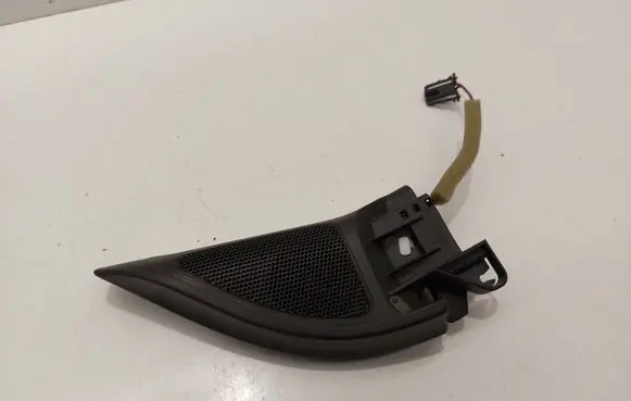 Front door high frequency speaker