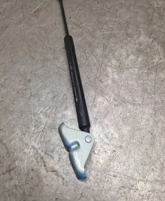 Renault Zoe Tailgate/trunk strut/damper 904502915R