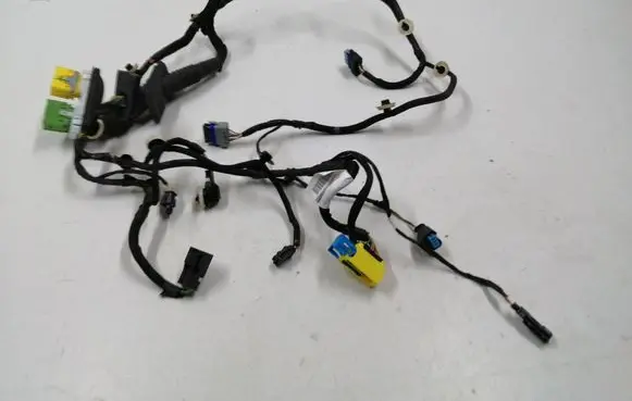 Front door wiring loom