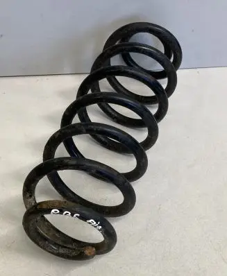 Volkswagen PASSAT B6 Rear coil spring