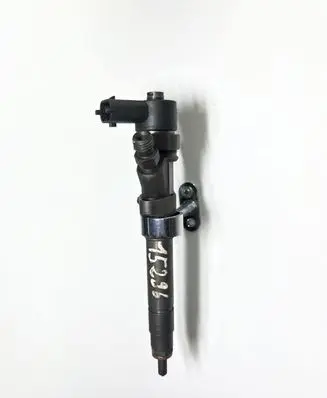 Renault Espace - Grand espace IV Fuel injector 8200084534 0445110 38416