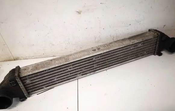 Mercedes-Benz A W169 Intercooler radiator A1695000000