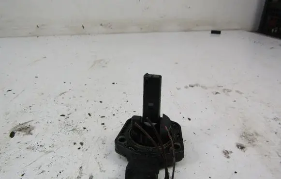Audi A4 S4 B6 8E 8H Oil level sensor 