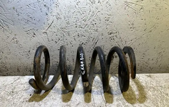Mitsubishi Grandis Rear coil spring