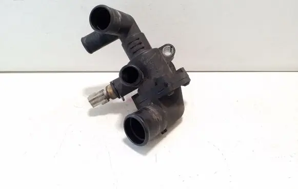 Thermostat/thermostat housing