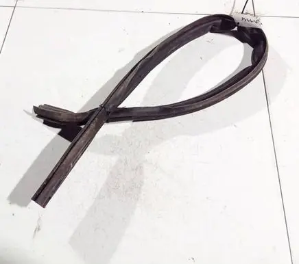 Renault Megane III Rubber seal front coupe door 