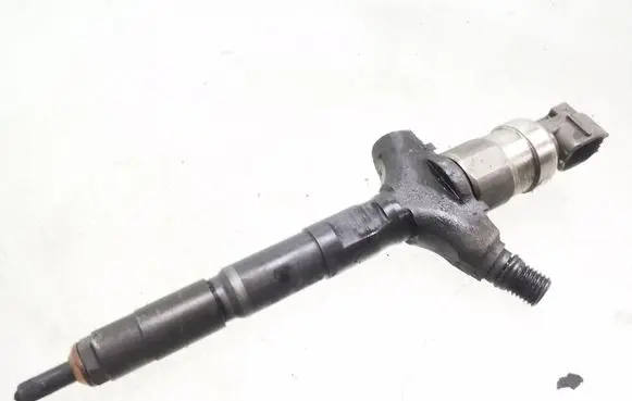Opel Signum Fuel injector 8972391617