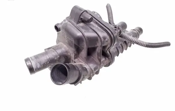 Thermostat/thermostat housing