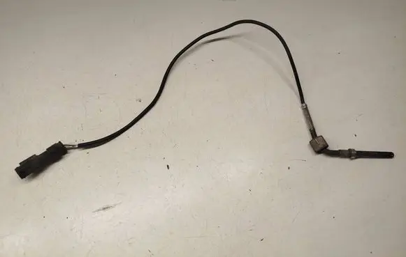Exhaust gas temperature sensor