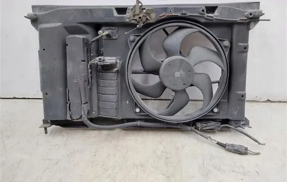 Peugeot 307 Radiator set 