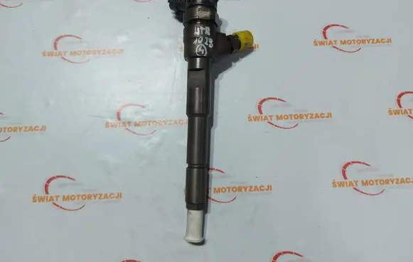 Renault Clio III Fuel injector 0445110652
