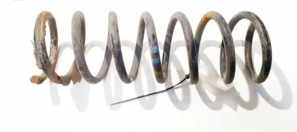 Ford C-MAX I Rear coil spring
