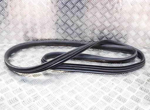 Renault Zoe Rubber seal rear door 