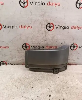Rear/tail light trim molding