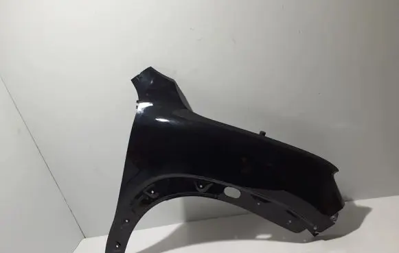 Dacia Spring Fender 631007661R