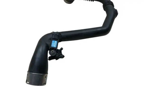 Renault Clio III Brake booster pipe/hose 8200748681