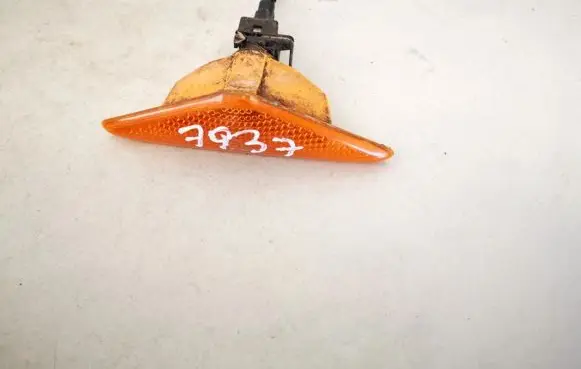 Ford Focus Front fender indicator light