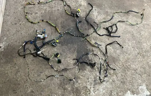 Peugeot Partner Wiring harness 3KB0153