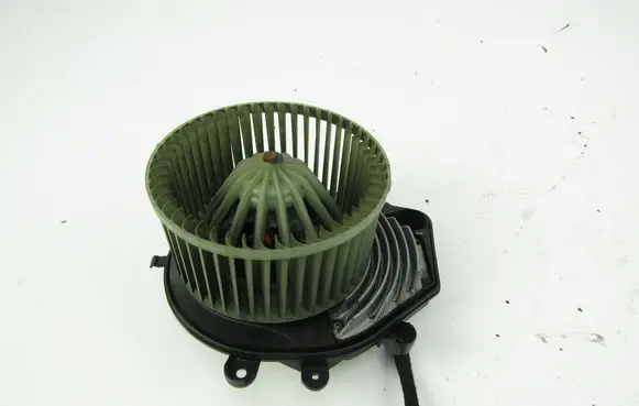 Volkswagen PASSAT B5.5 Heater fan/blower 