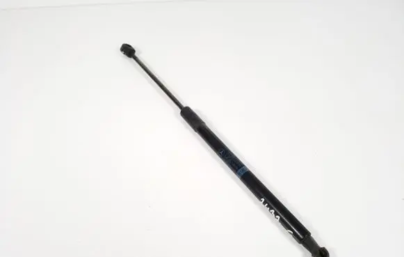 Tailgate strut