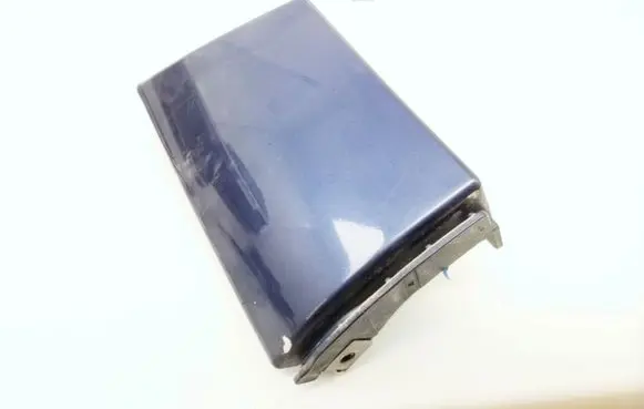 Rear/tail light trim molding