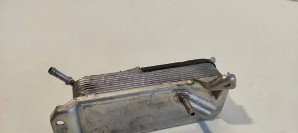 Mercedes-Benz CLK A209 C209 Fuel cooler (radiator) 