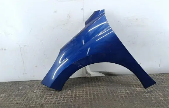 Peugeot 207 Fender 