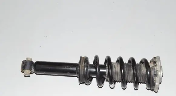 BMW iX Rear shock absorber with coil spring 6891987 33506891987