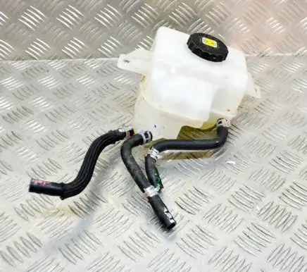 Toyota RAV 4 (XA50) Brake fluid reservoir 