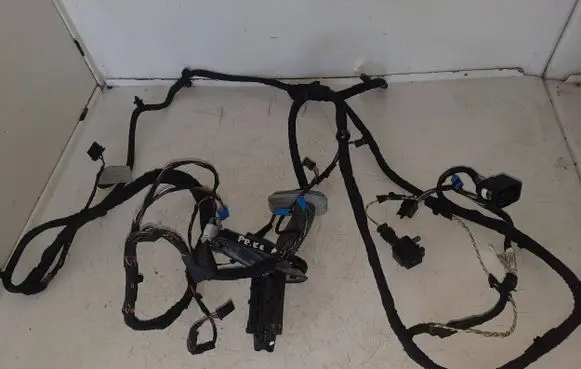 BMW 5 F10 F11 Front door wiring loom EGX363F 9312731 13122013