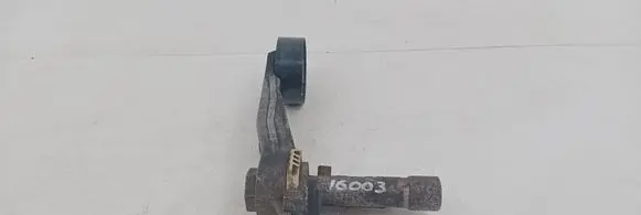 Citroen DS3 Generator/alternator belt tensioner APV2465 V75710158003 V757101580