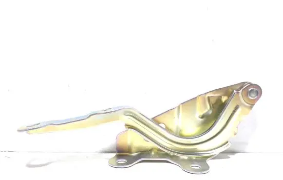 Hyundai i20 (GB IB) Engine bonnet/hood hinges 79120-C7000