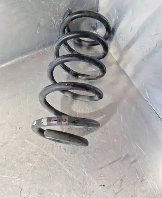 Rear coil spring