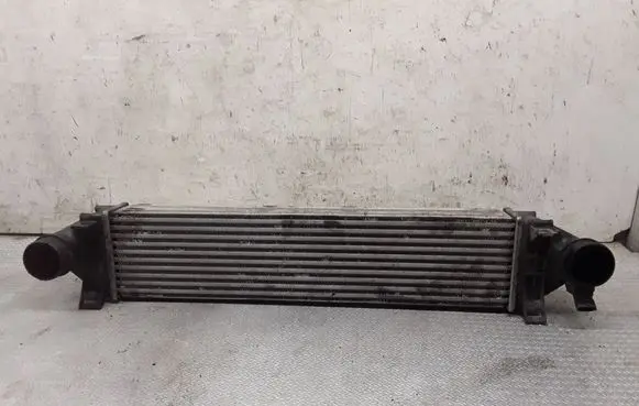 Intercooler radiator