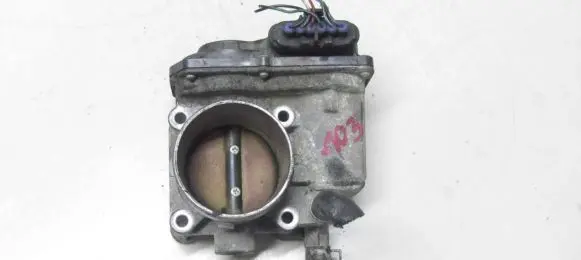 Suzuki Grand Vitara II Throttle valve