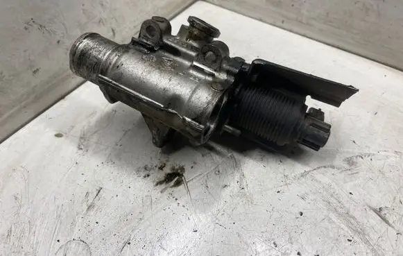 Renault Megane II EGR valve 255366