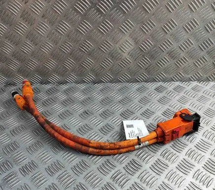 Tesla Model X Other wiring loom 147118100C