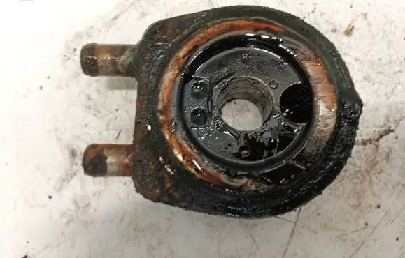 Renault Laguna II Engine oil radiator 