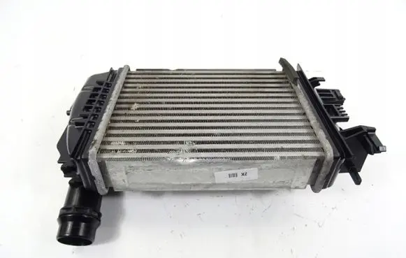 Nissan Juke II F16 Intercooler radiator 144961019R