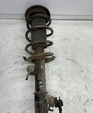 Opel Signum Front shock absorber with coil spring