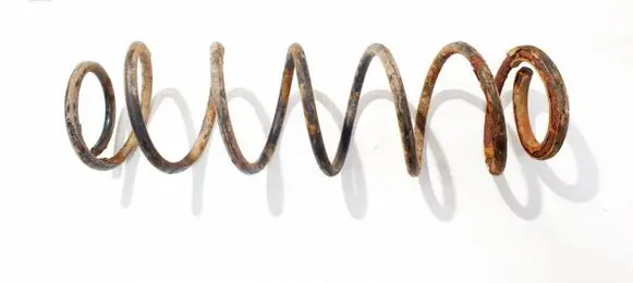 Renault Laguna III Rear coil spring