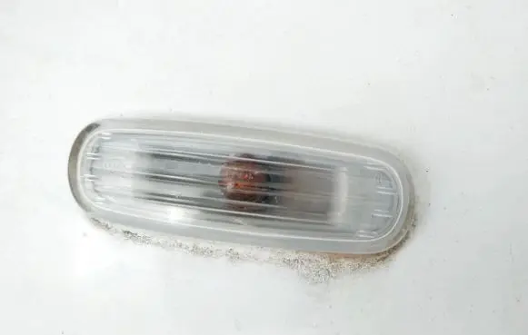 Front fender indicator light