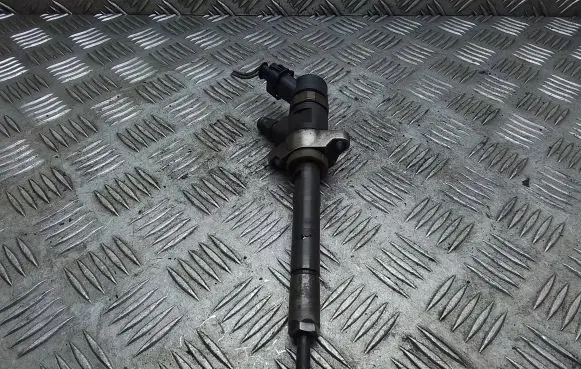 Citroen C4 Grand Picasso Fuel injector 0445110259