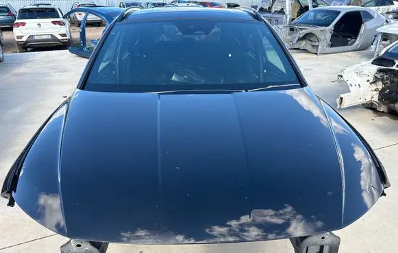 Engine bonnet/hood