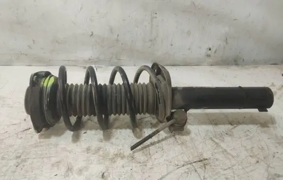 Volkswagen Golf V Front shock absorber/damper 317575 0120064 824904013020
