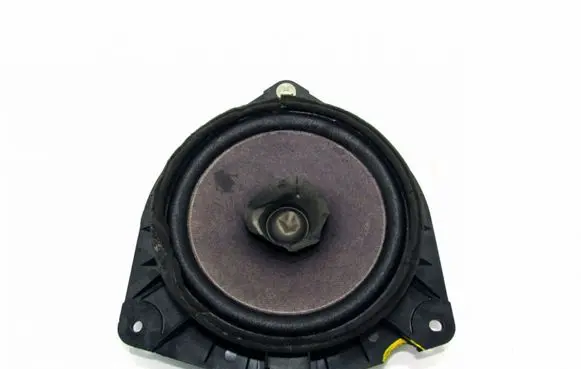 Rear door speaker