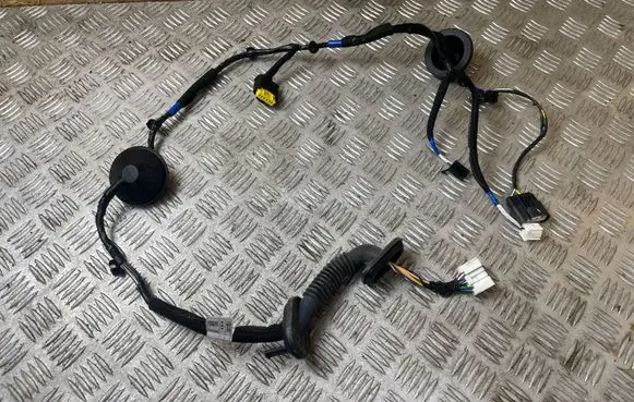 Hyundai i30 Rear door wiring loom 91660G4060